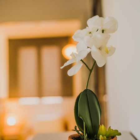 Green Apartment Ground Floor Feel Like Home Properties Saronida المظهر الخارجي الصورة