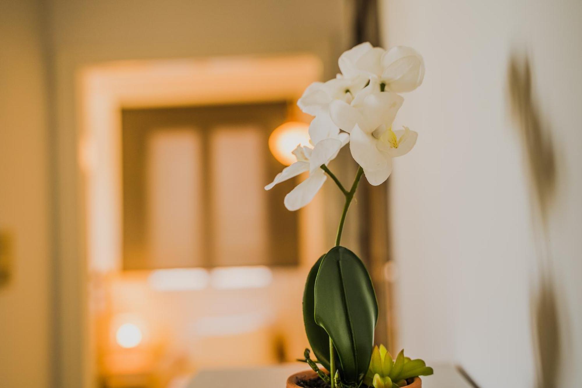 Green Apartment Ground Floor Feel Like Home Properties Saronida المظهر الخارجي الصورة
